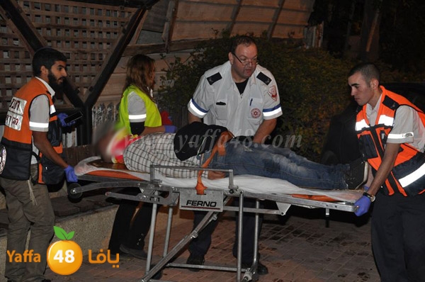 acc 7eshmona2em palmtree (4).JPG